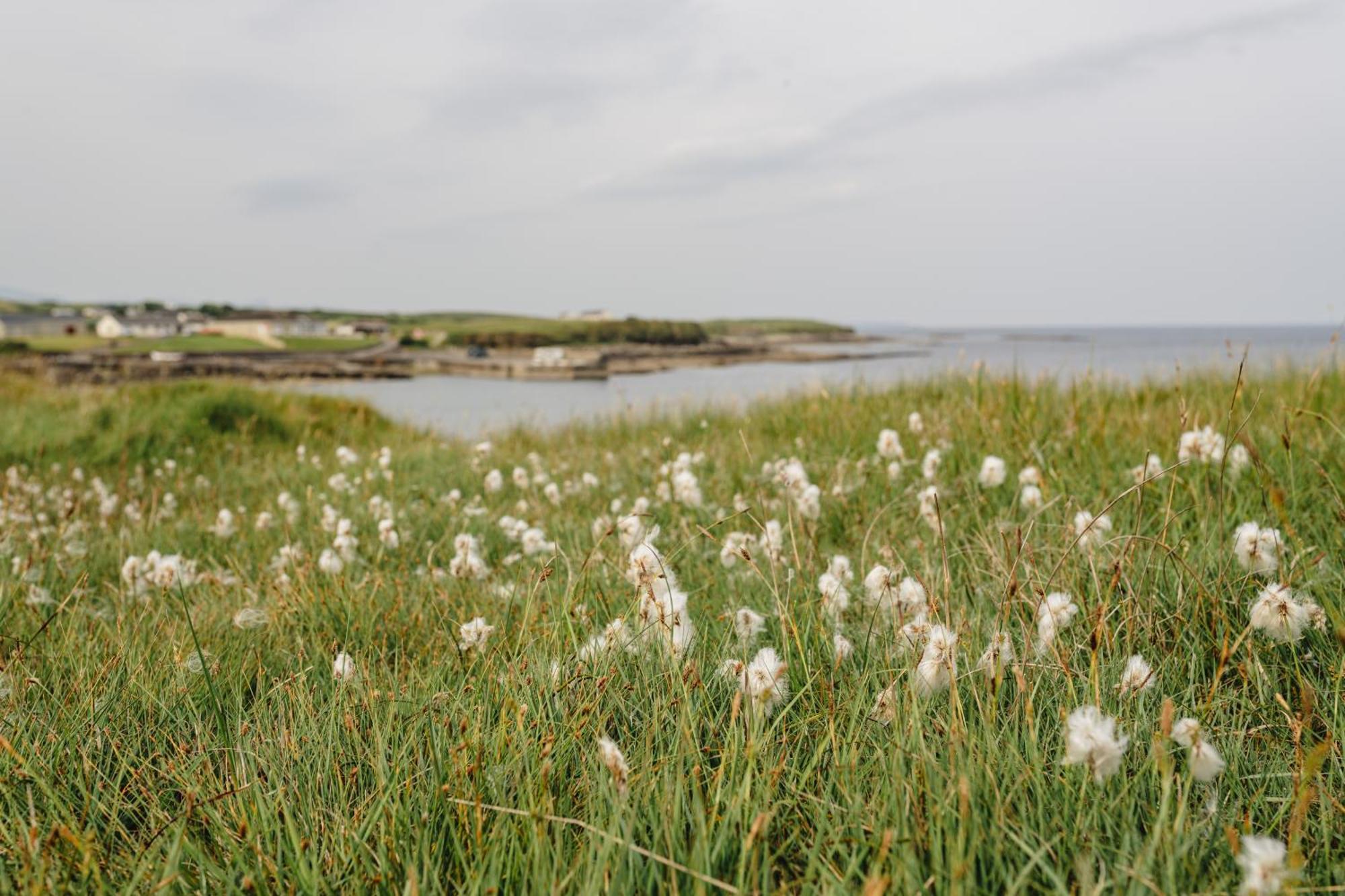 Creevy Cottages Rossnowlagh Zewnętrze zdjęcie