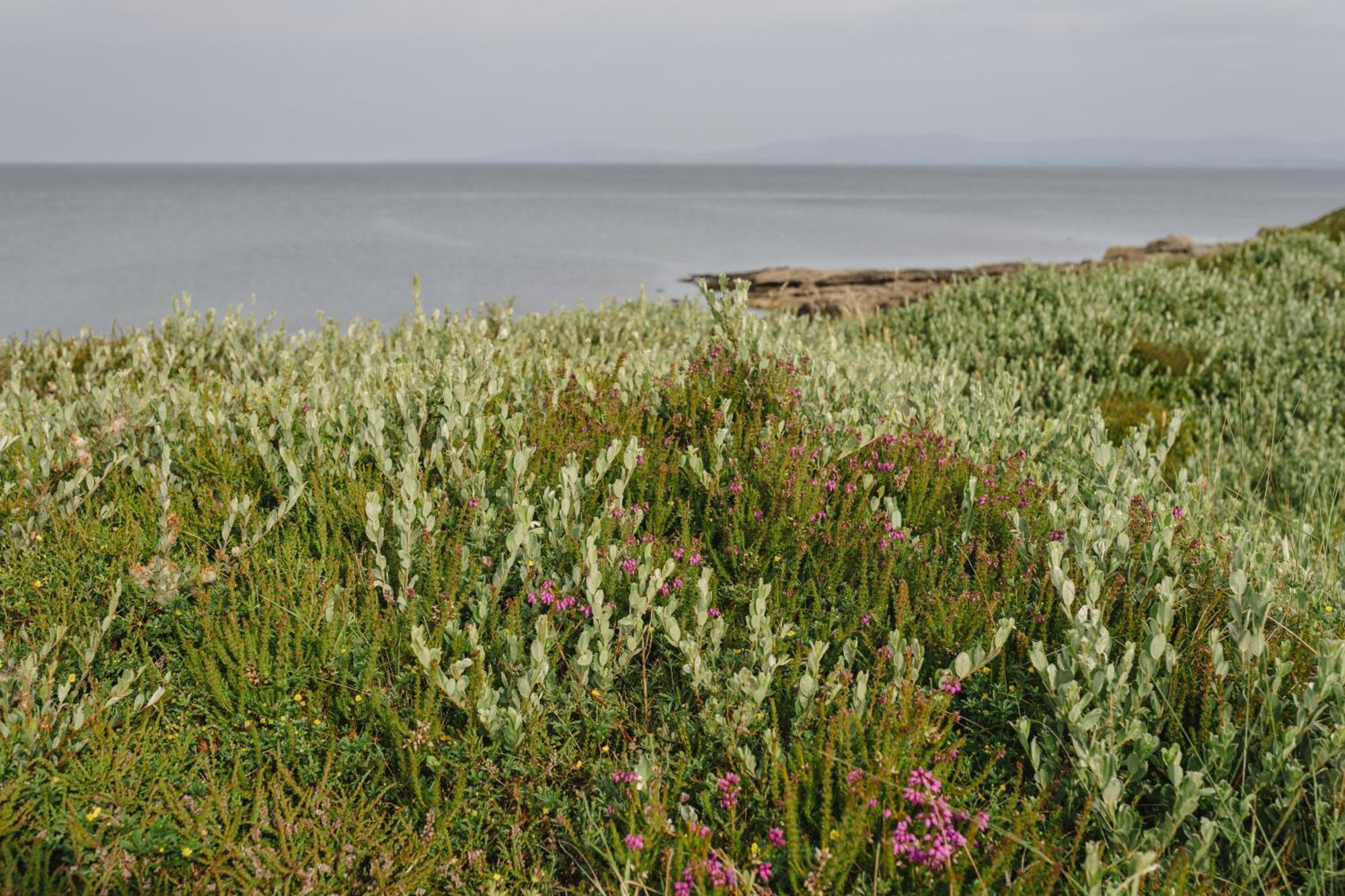 Creevy Cottages Rossnowlagh Zewnętrze zdjęcie