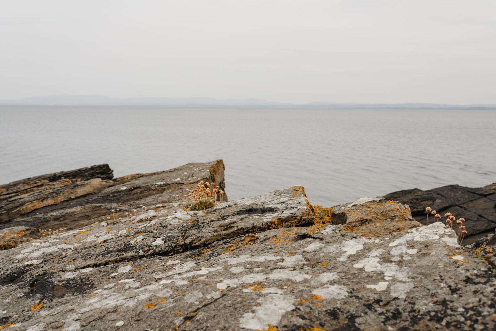 Creevy Cottages Rossnowlagh Zewnętrze zdjęcie